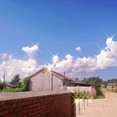 精灵游乐园变态版下载